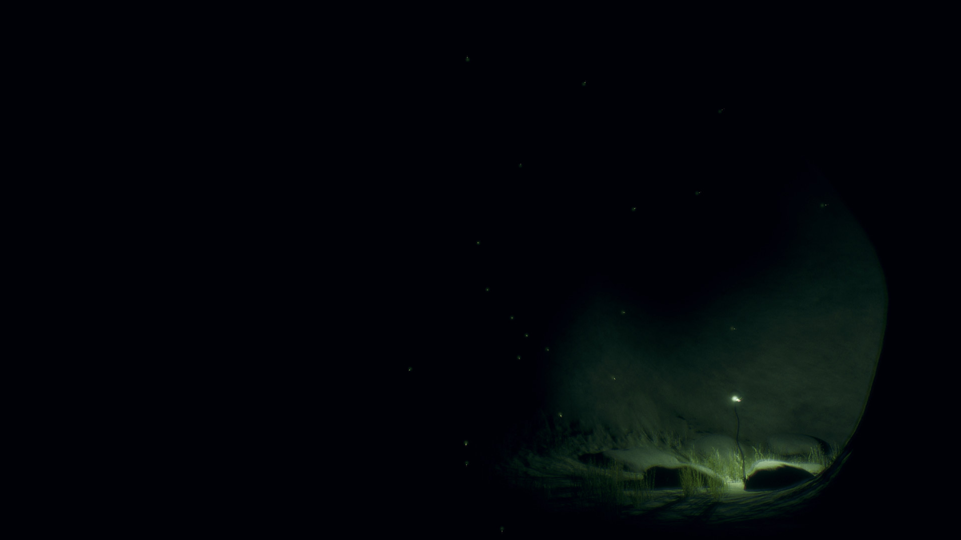 Captura 9: Underponder