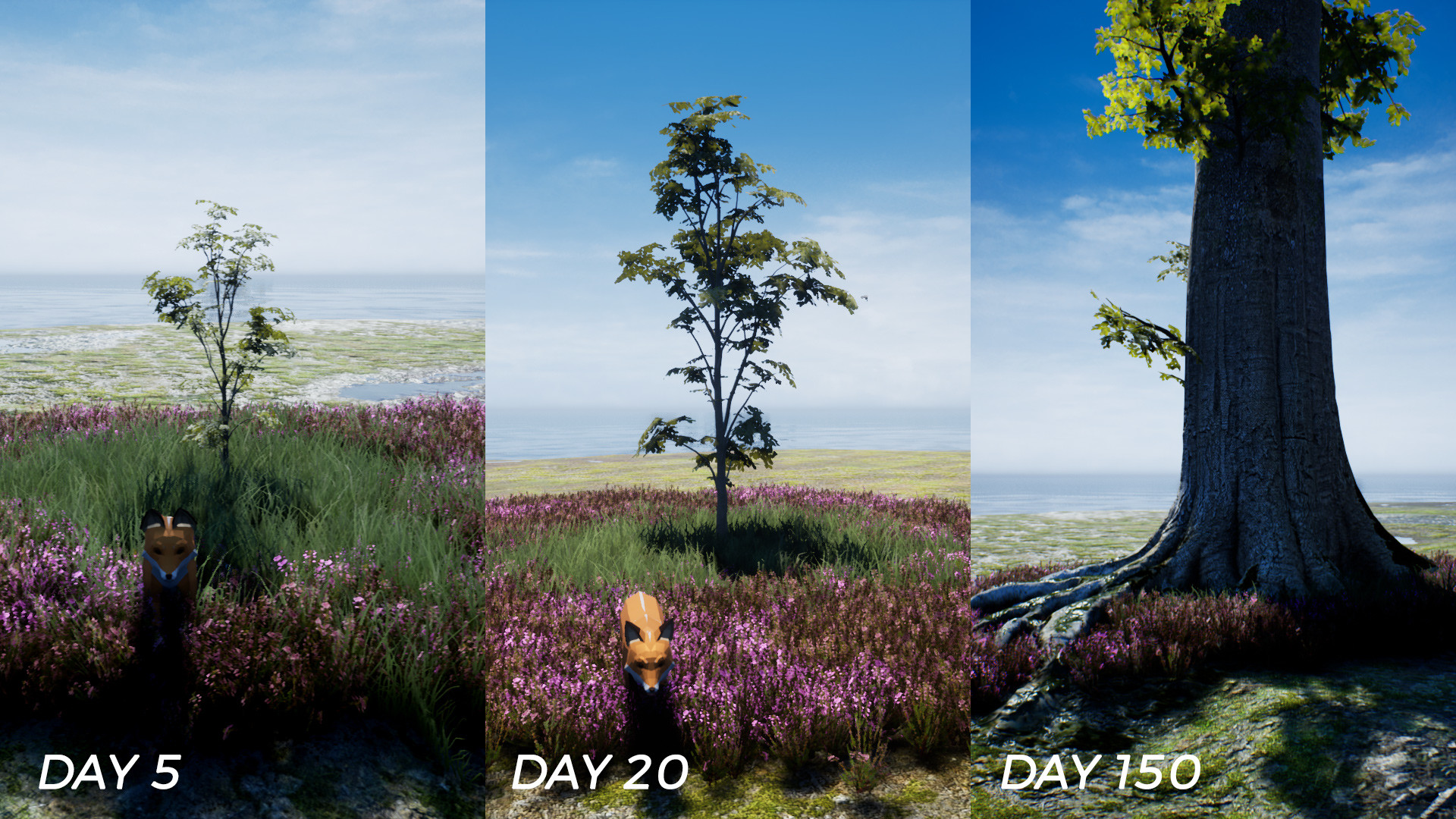 Captura: PLAYNE : The Meditation Game