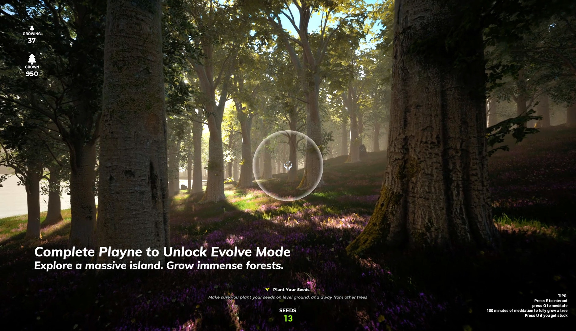 Captura 9: PLAYNE : The Meditation Game