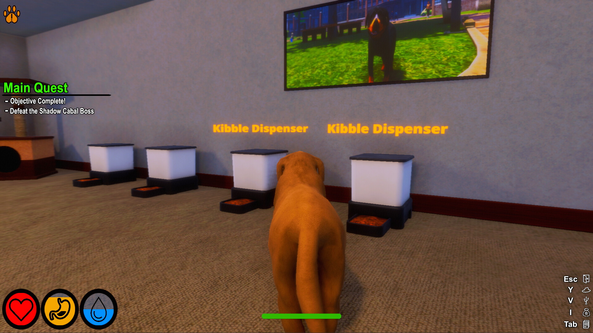 Captura 13: Lost Paws