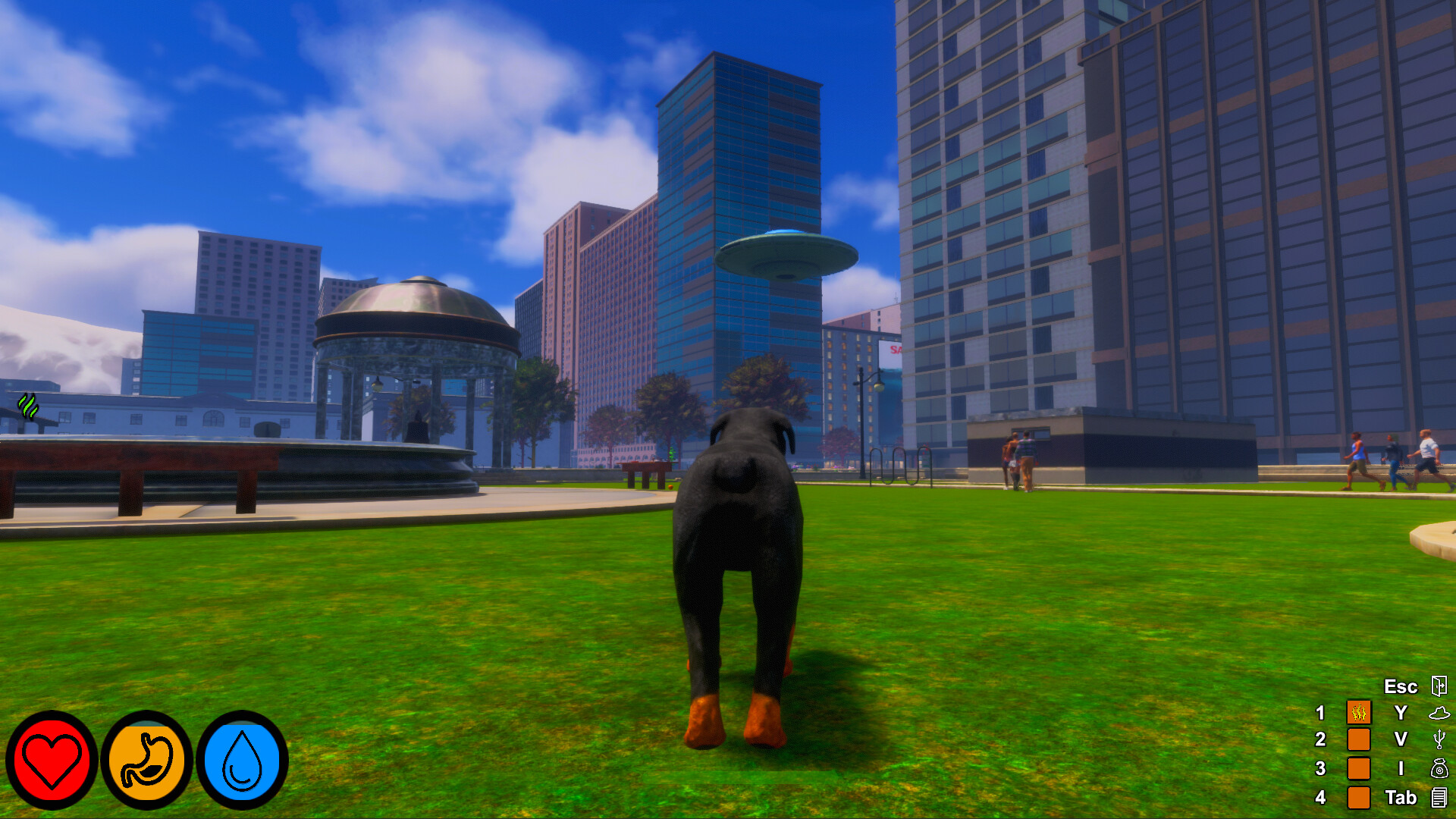 Captura 15: Lost Paws