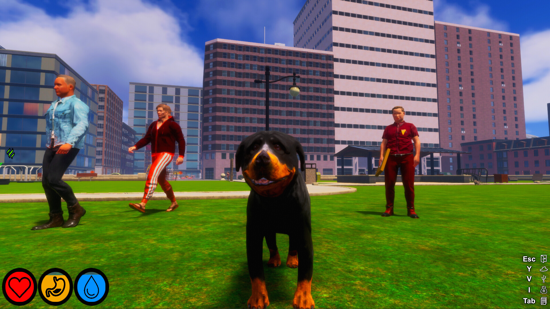 Captura 9: Lost Paws