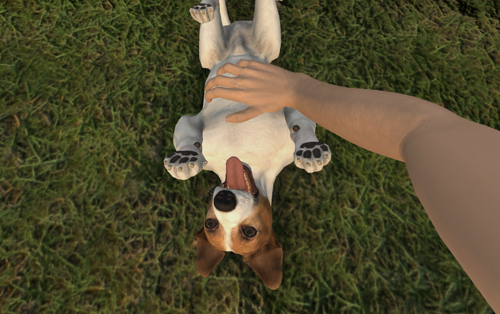 Captura 16: Pets Hotel