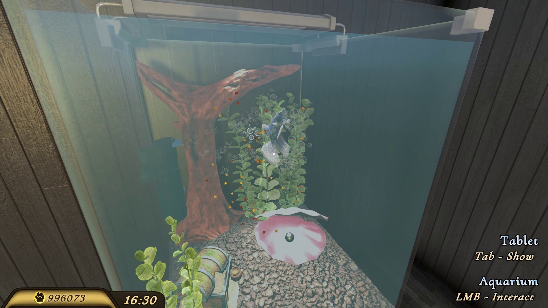 Captura 20: Pets Hotel