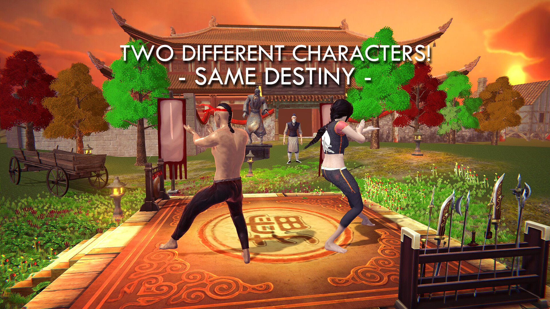 Captura 7: Fight School Simulator