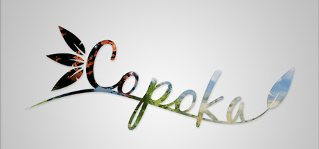 Capa: Copoka