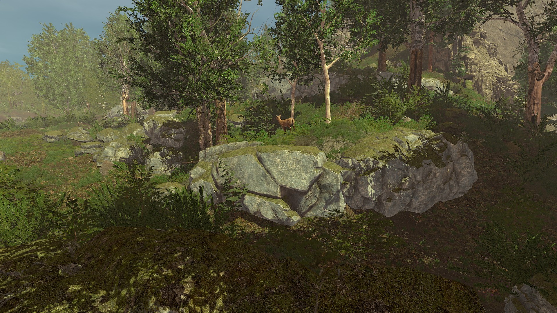 Captura: Trials of Wilderness