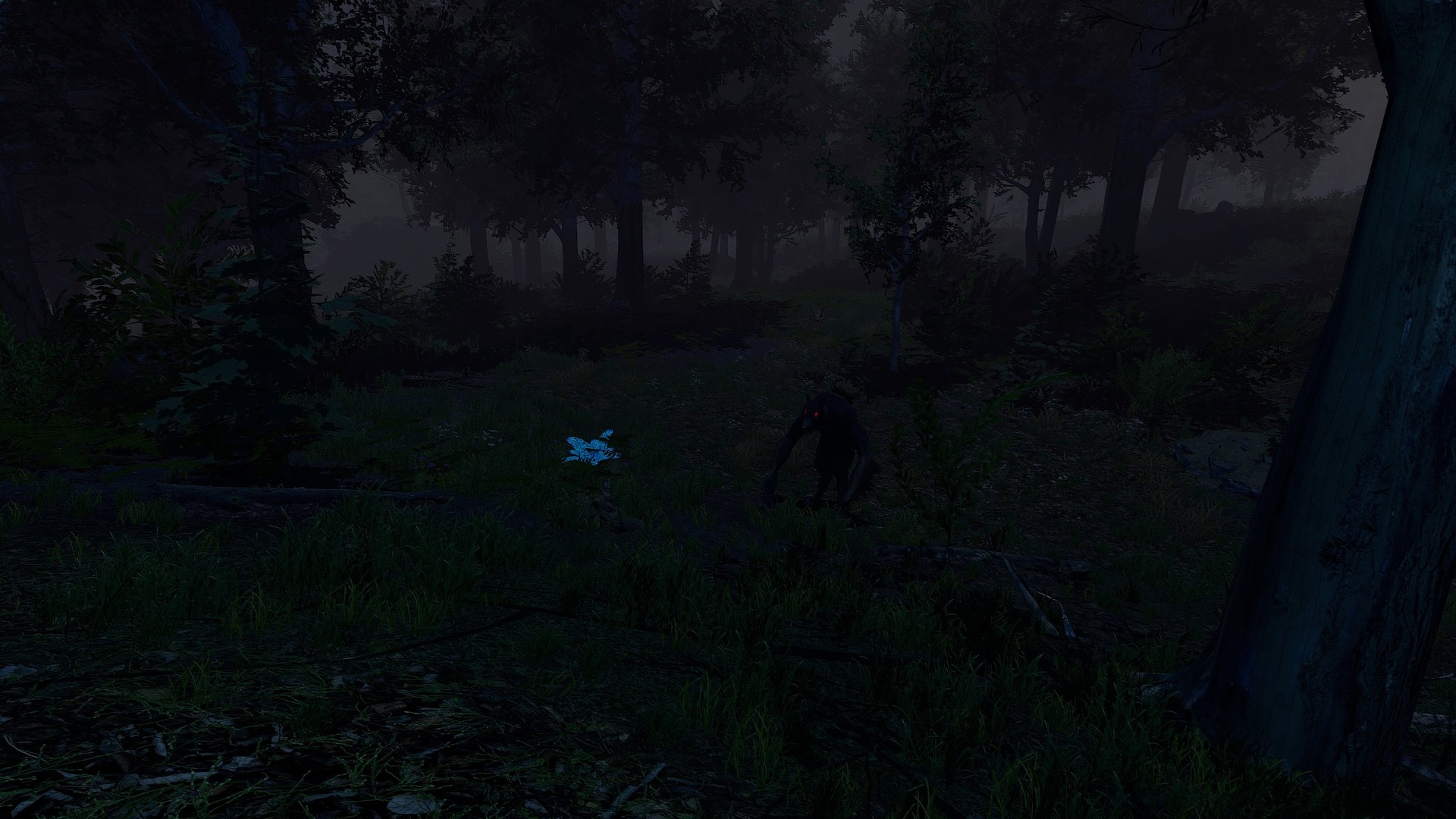 Captura 9: Trials of Wilderness