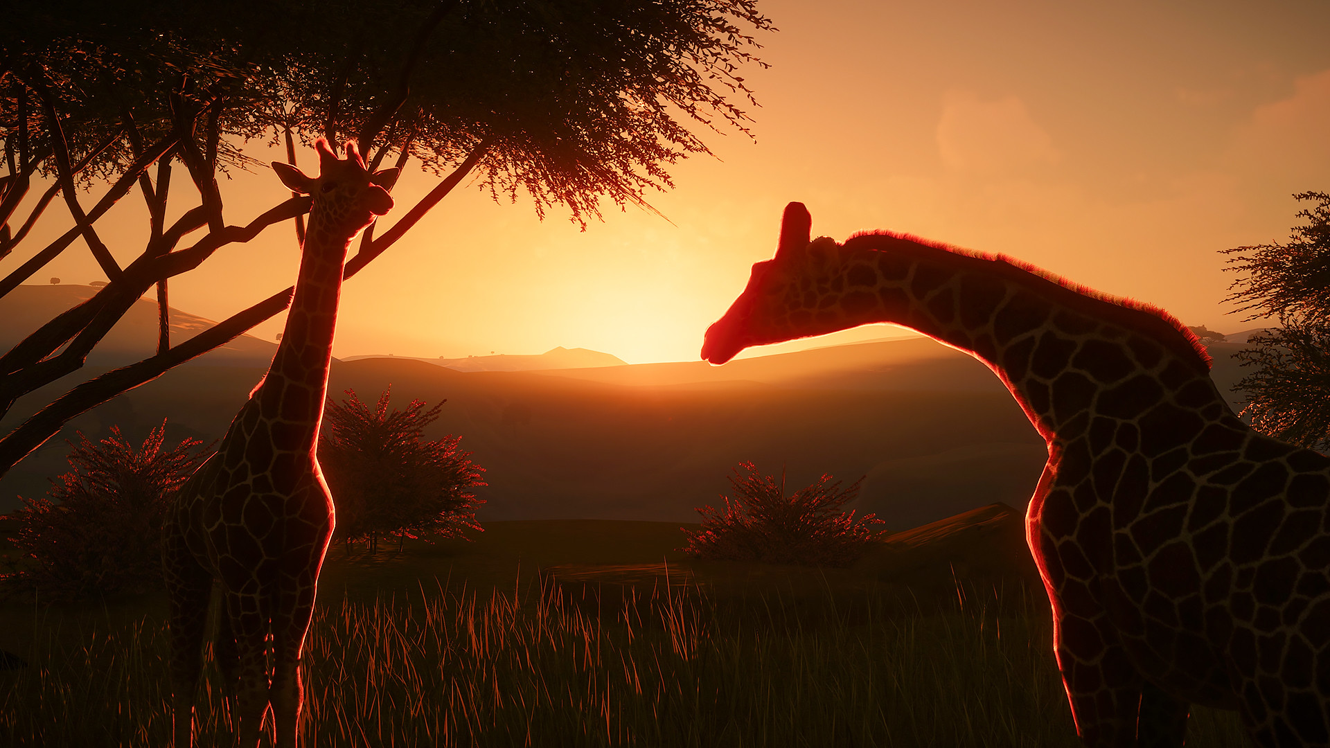 Captura 21: Planet Zoo