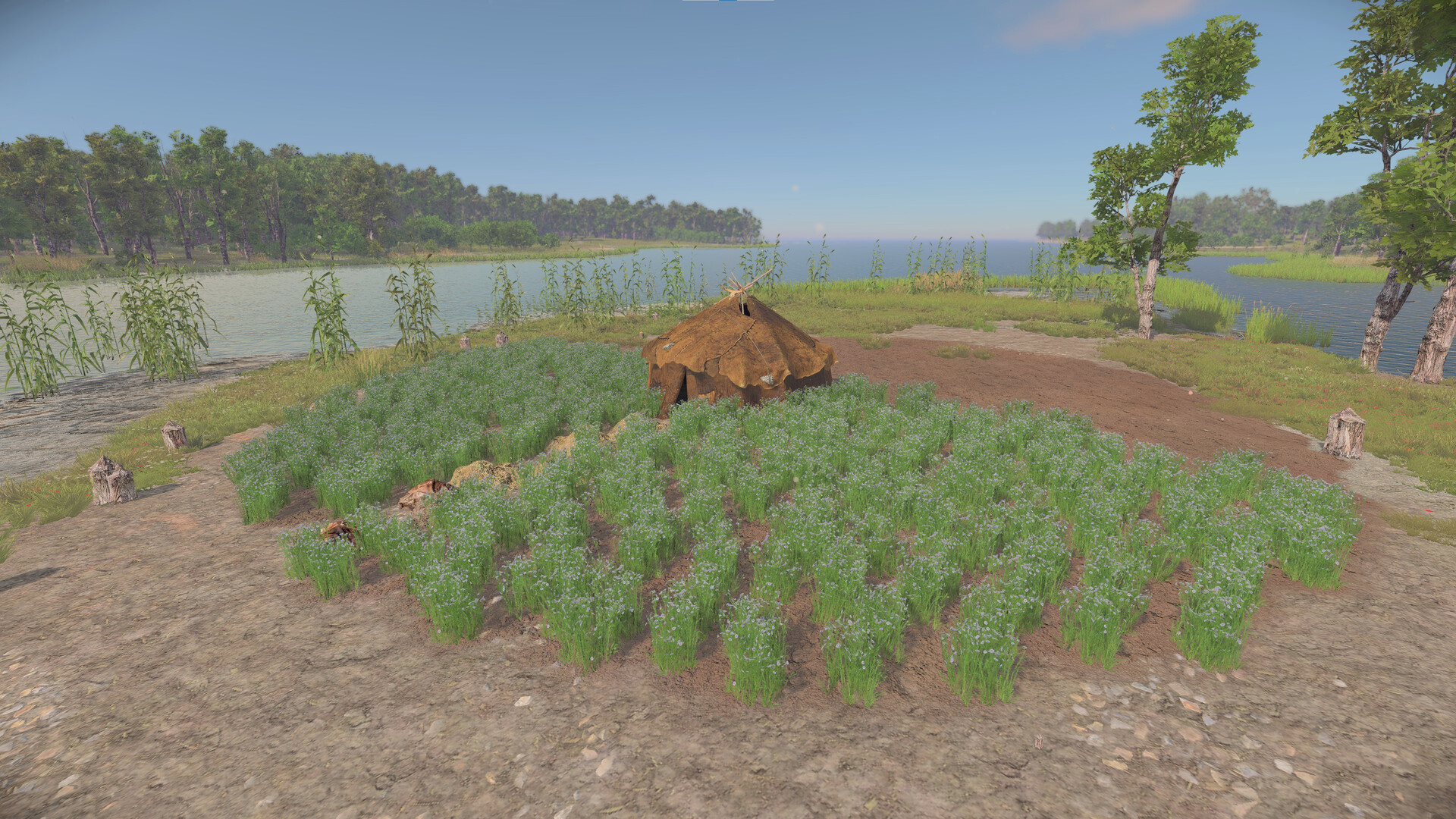 Captura 15: Ancient Cities