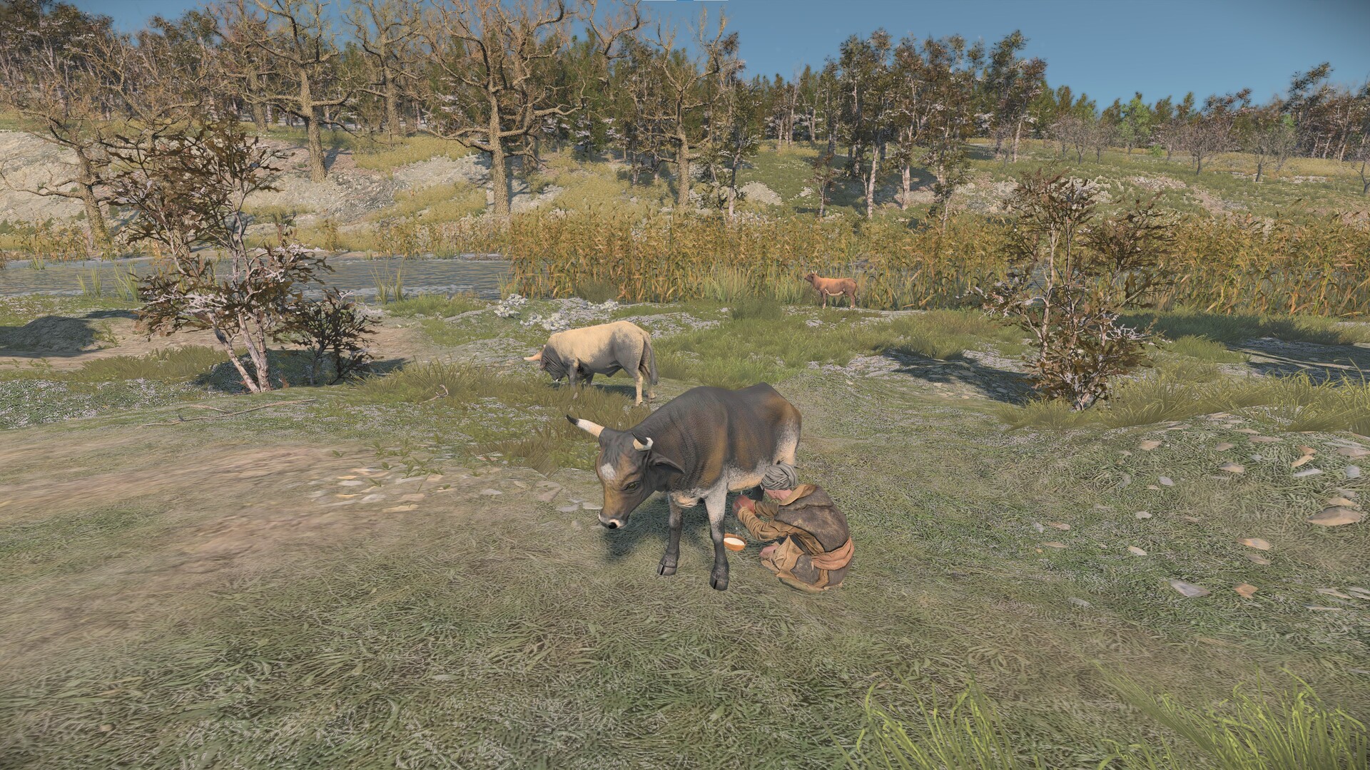 Captura 19: Ancient Cities