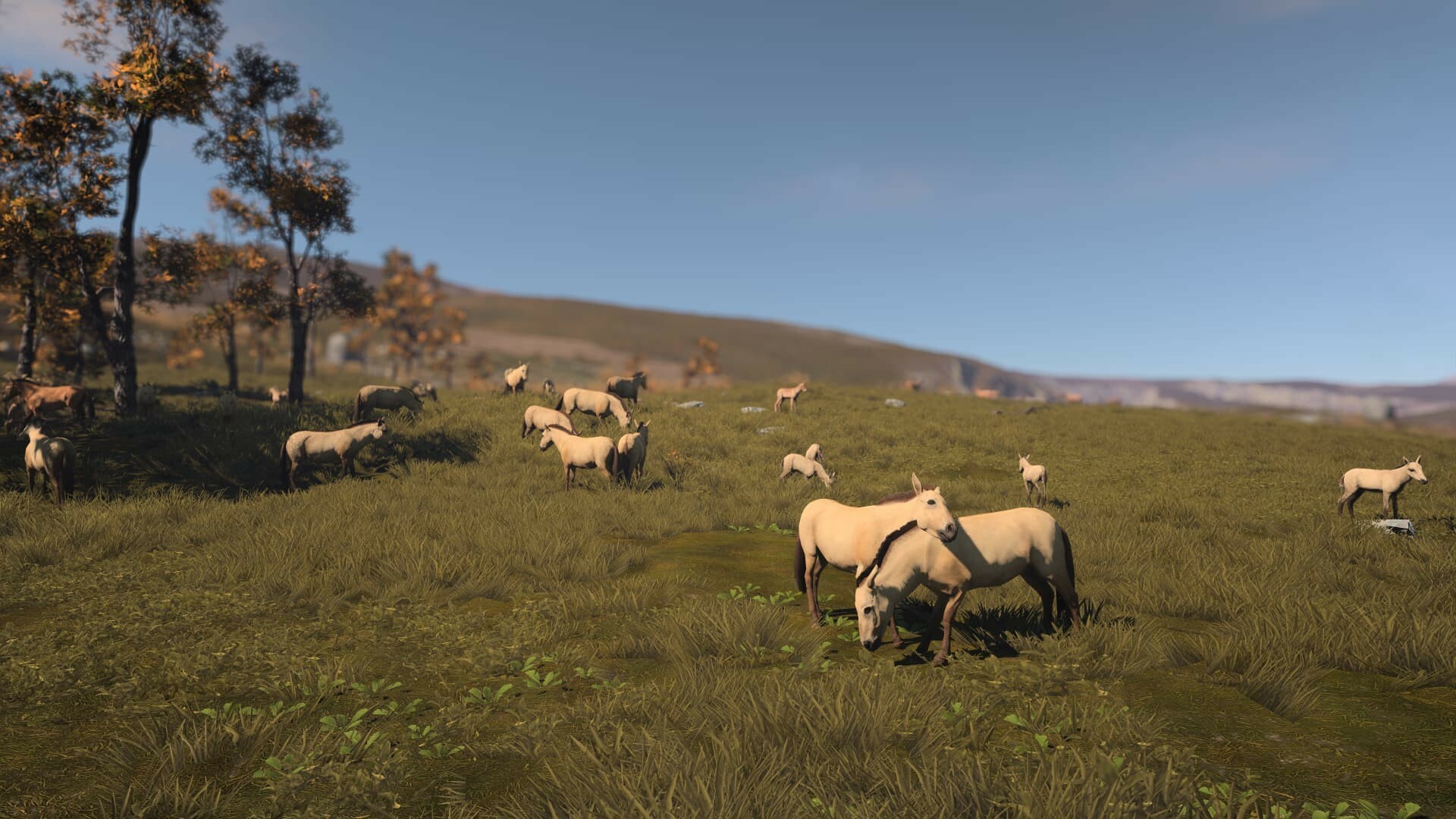 Captura: Ancient Cities