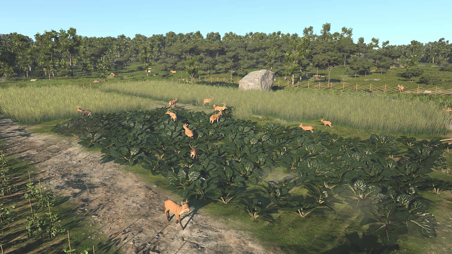 Captura 9: Ancient Cities