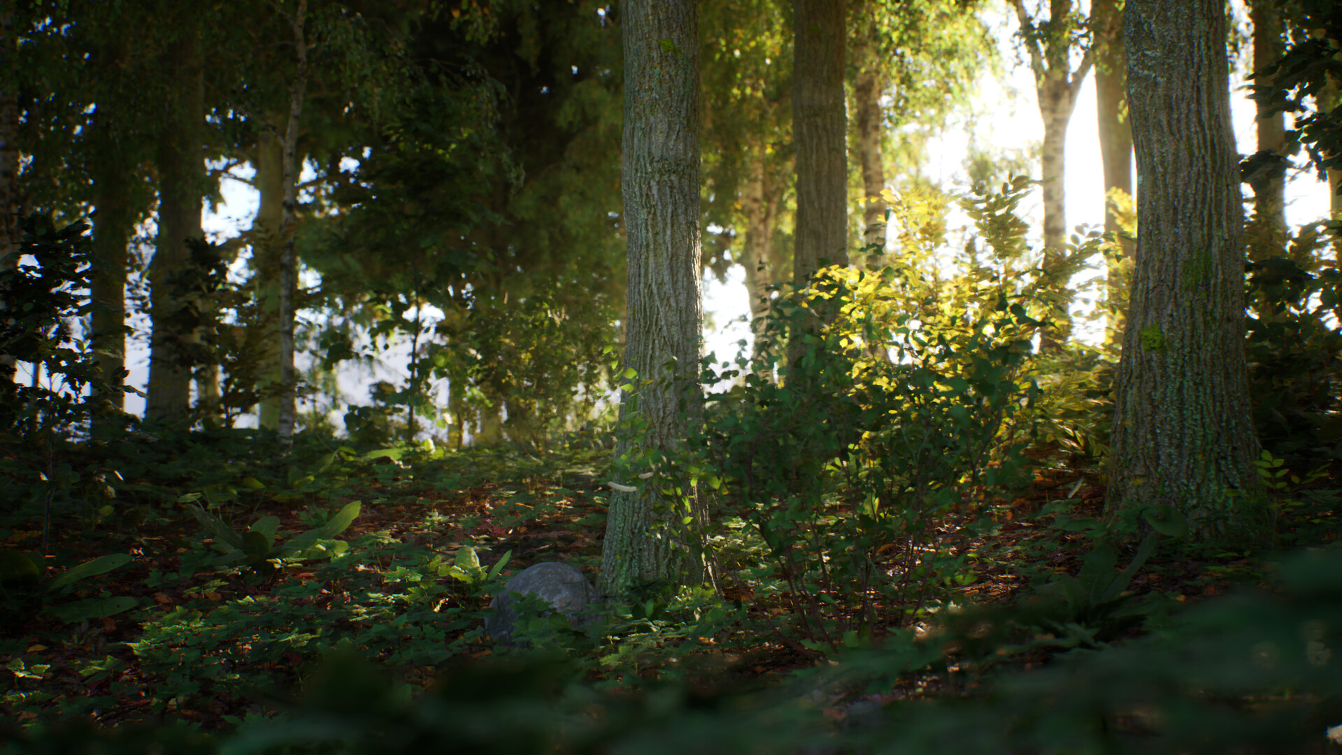 Captura 7: Stone Simulator – Just Be a Rock