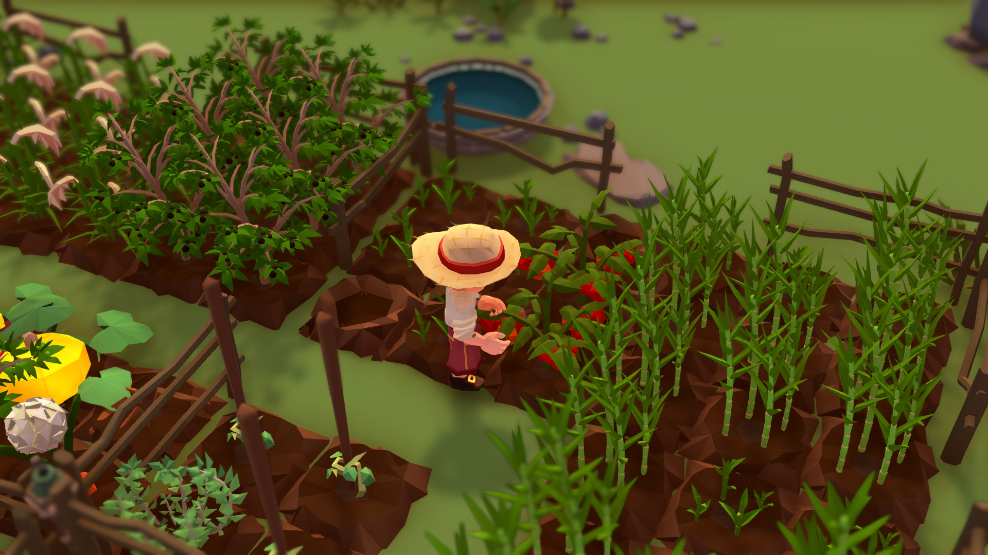 Captura: Stranded Sails - Explorers of the Cursed Islands