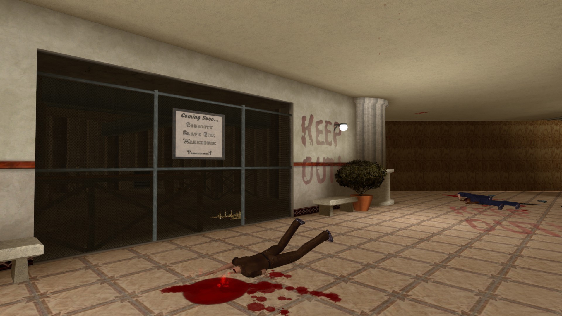 Captura 12: POSTAL 2
