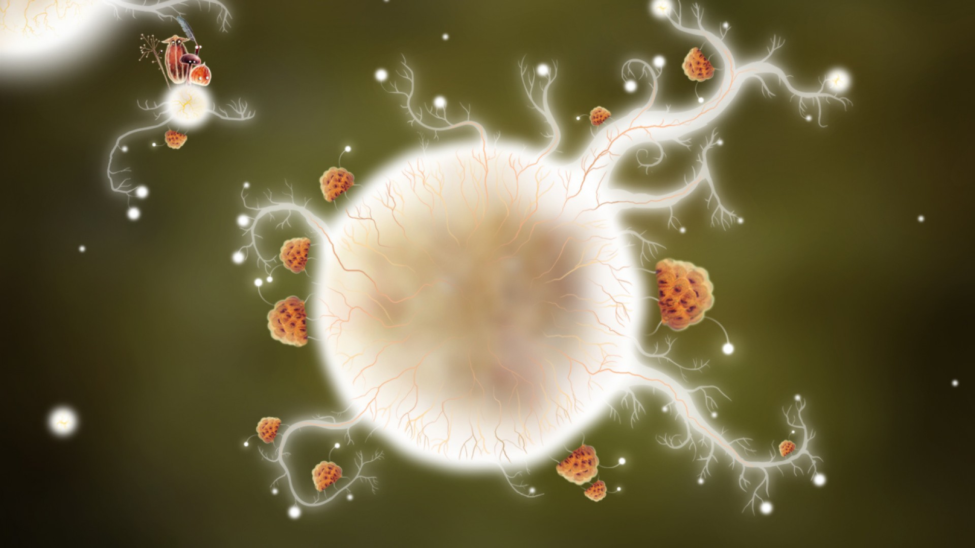 Captura 7: Botanicula