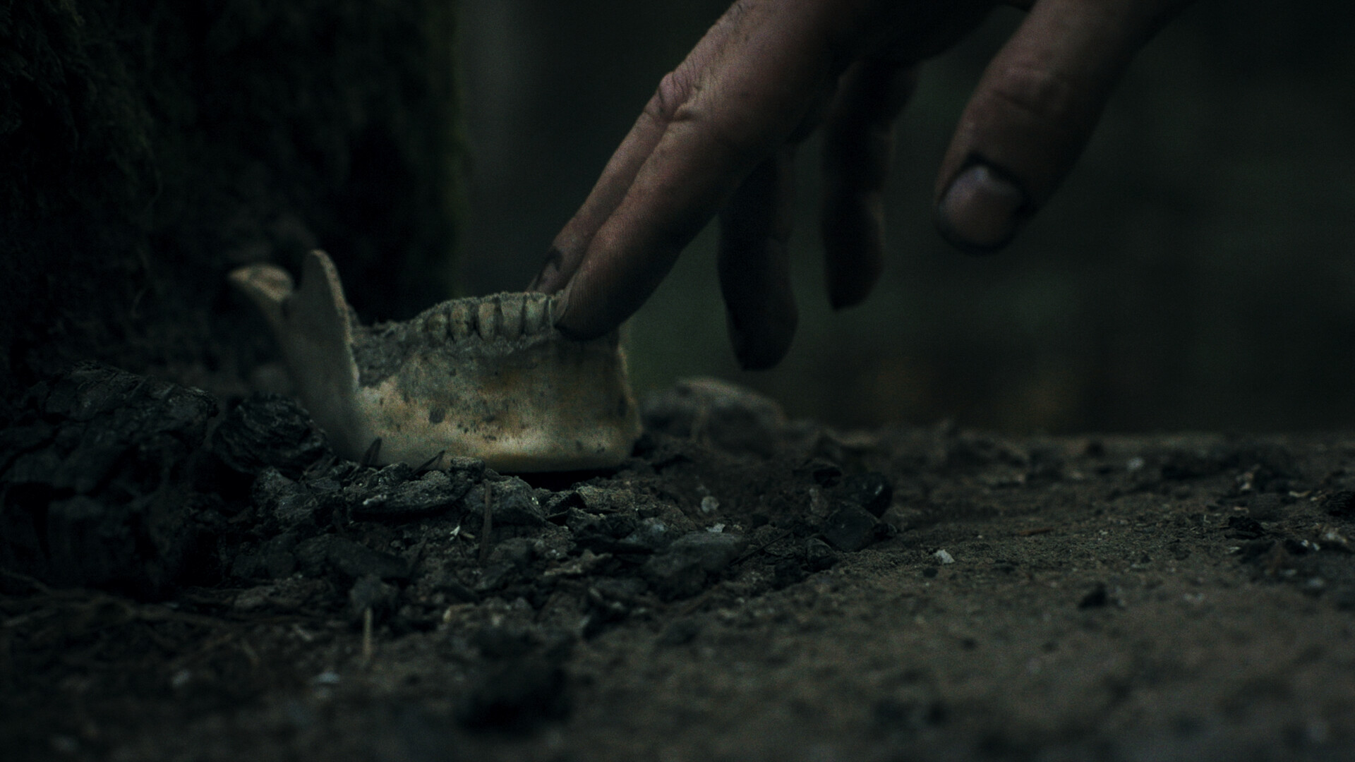 Captura 8: Heart of the Forest