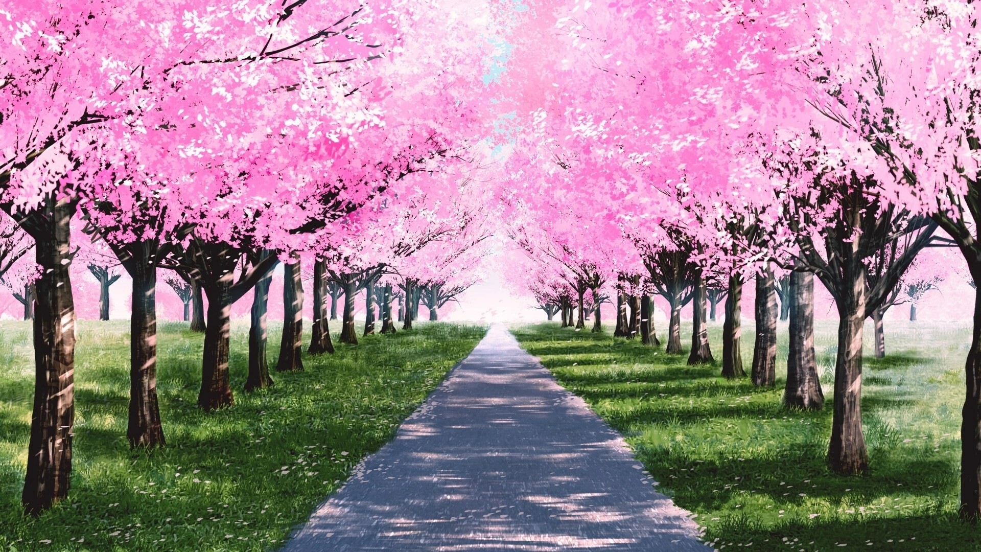 Captura 17: My Summer Adventure: Memories of Another Life