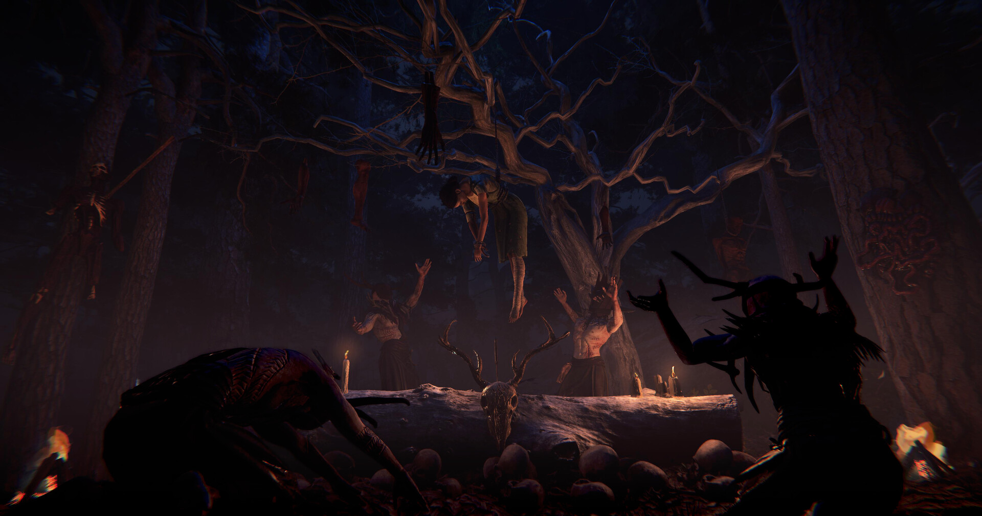 Captura: Nested Lands