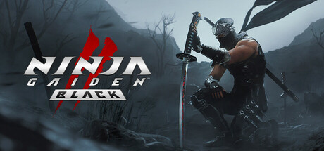 Capa: NINJA GAIDEN 2 Black