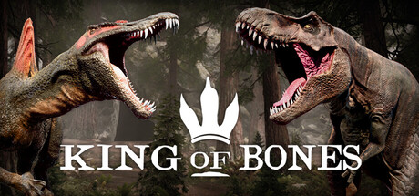 Capa: King of Bones