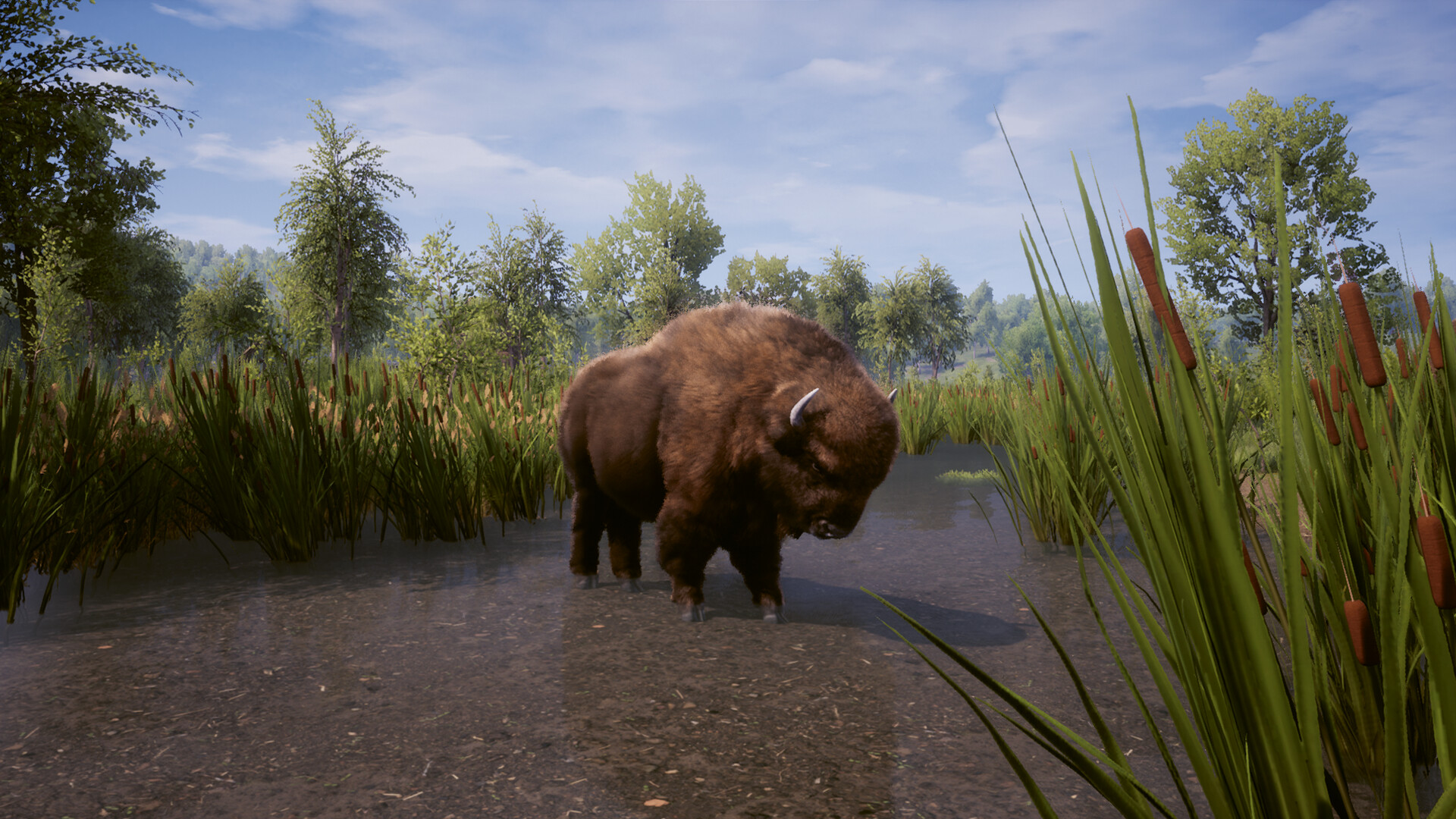 Captura 15: Medieval Dynasty