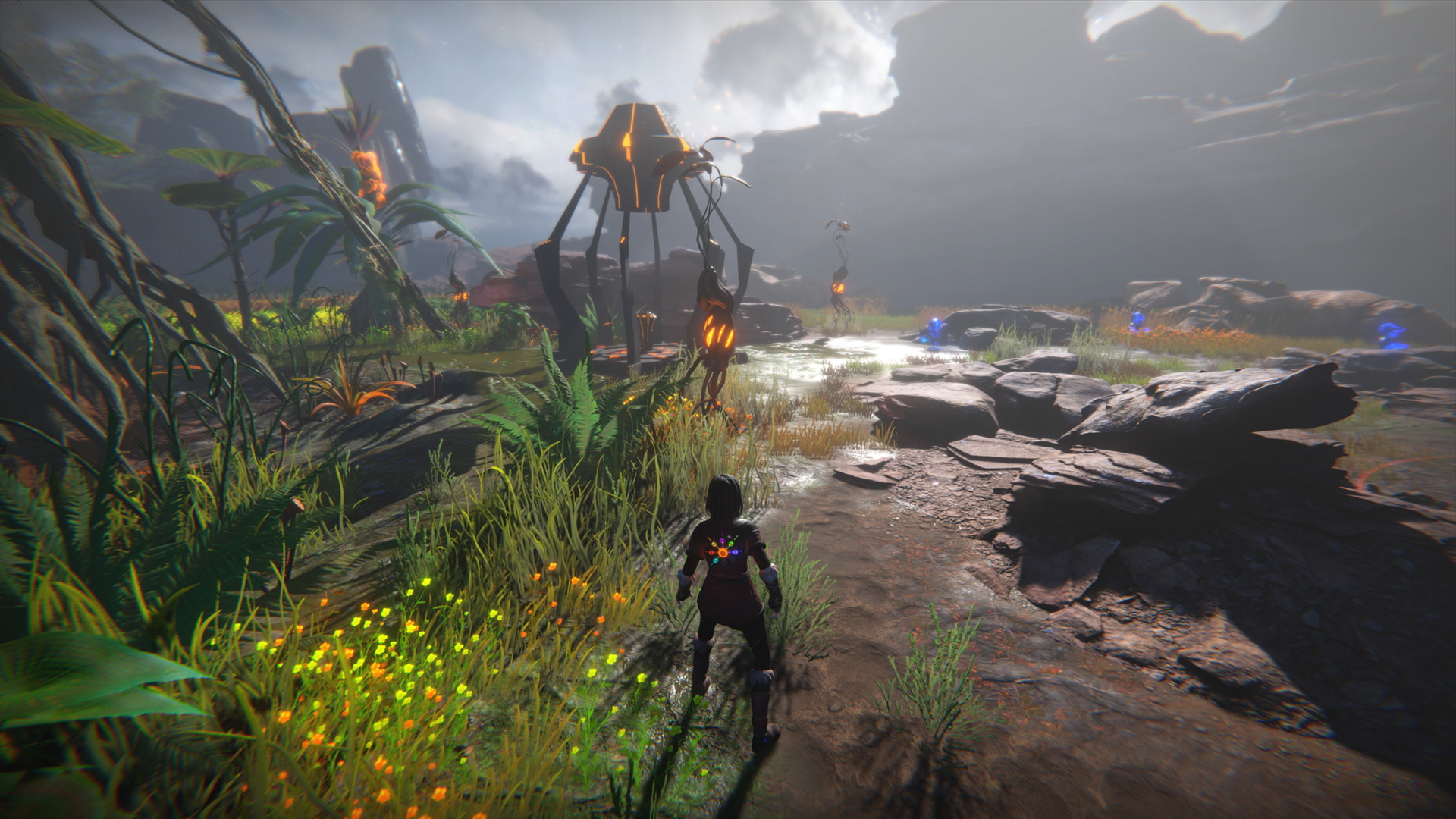 Captura 7: Seed of Life