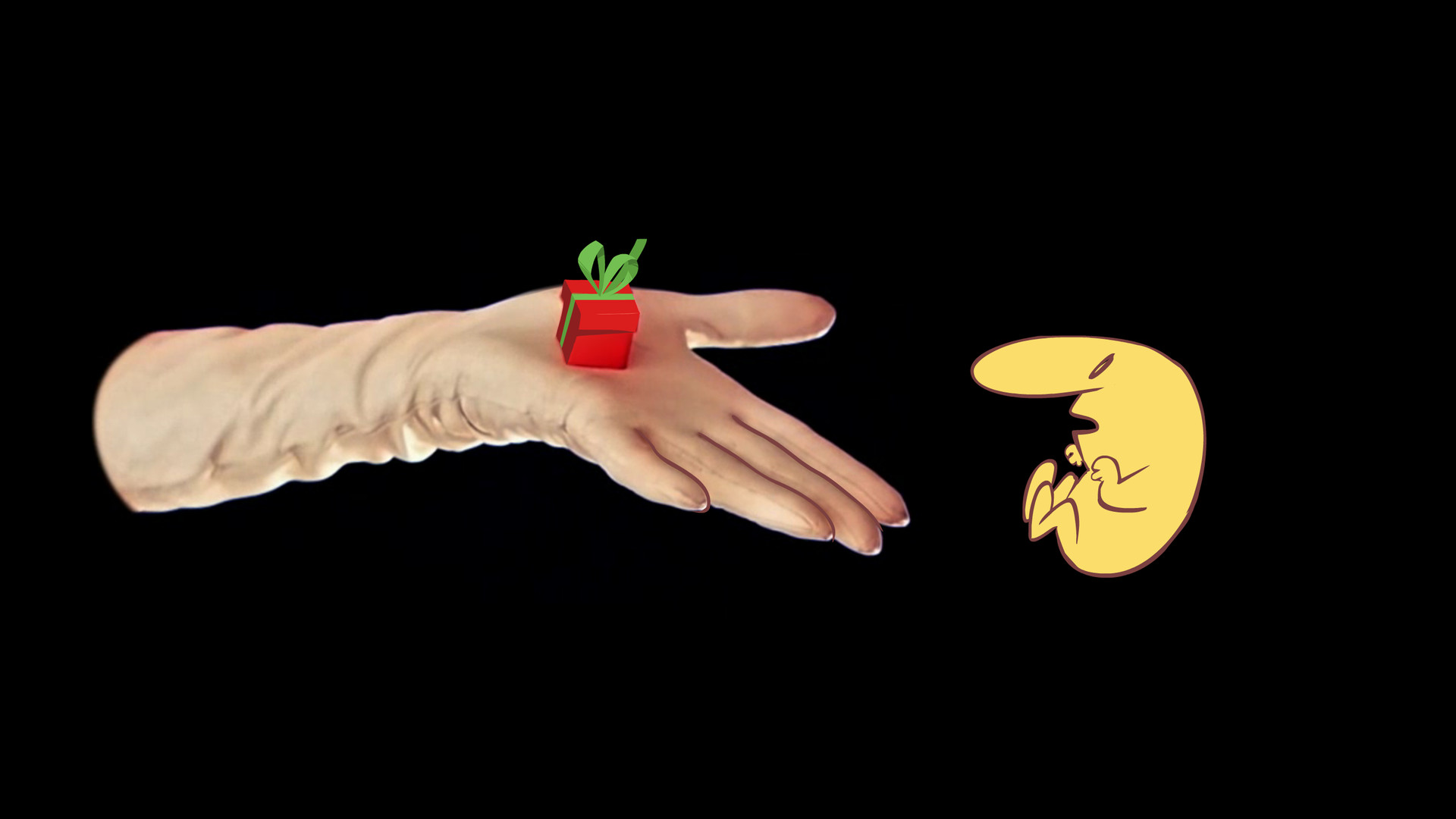 Captura: The Many Pieces of Mr. Coo