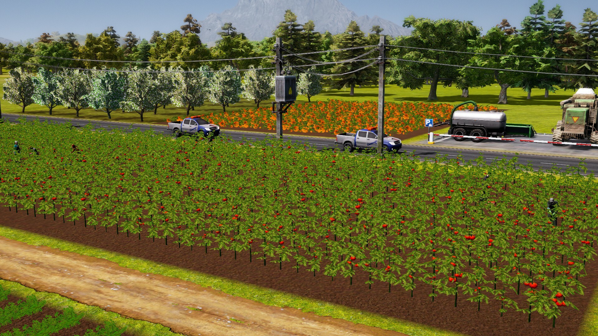 Captura 20: Farm Manager 2021