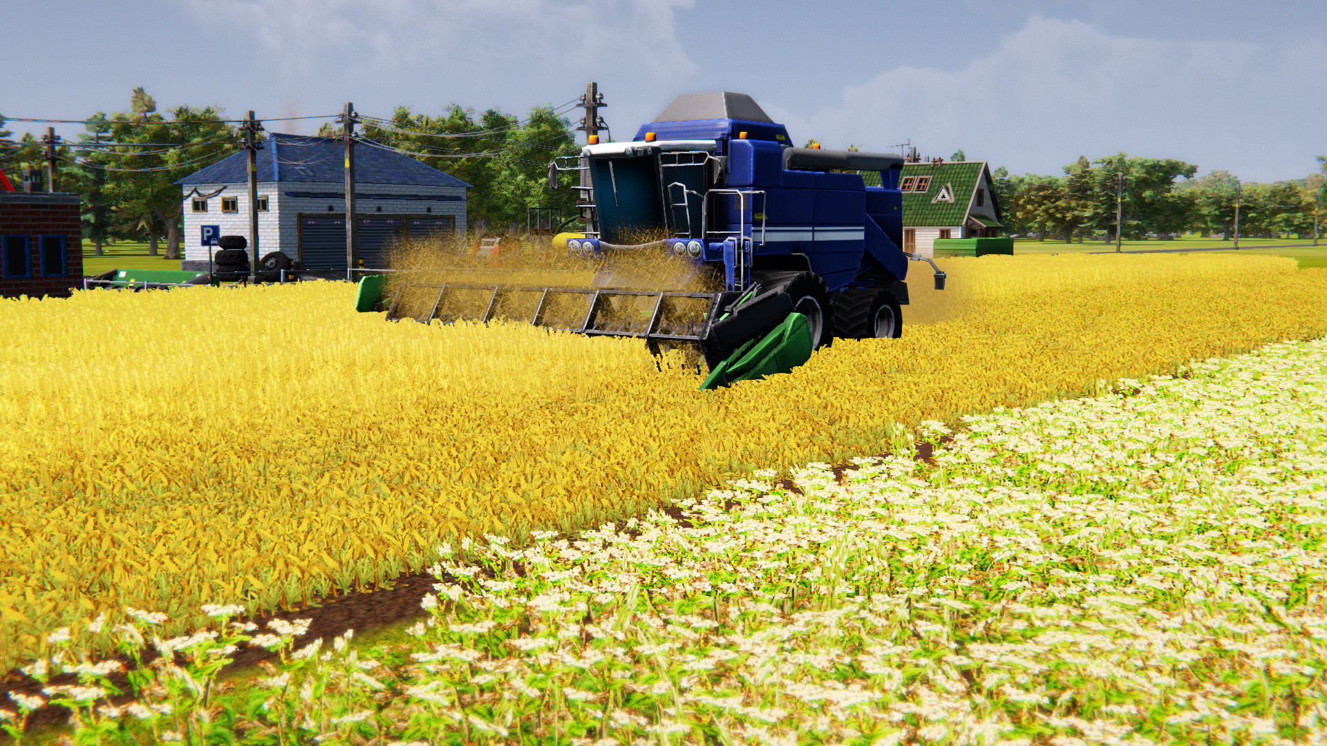 Captura 10: Farm Manager 2021