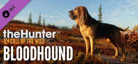 Capa: theHunter: Call of the Wild™ - Bloodhound